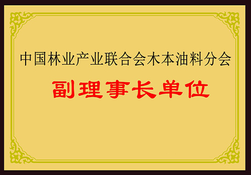 中国林业产业联合会木本油料分会副理事长单位